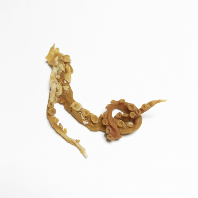 �ӂƌ���ł݂��X����