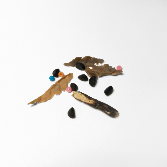 �|�P�b�g�̒��g