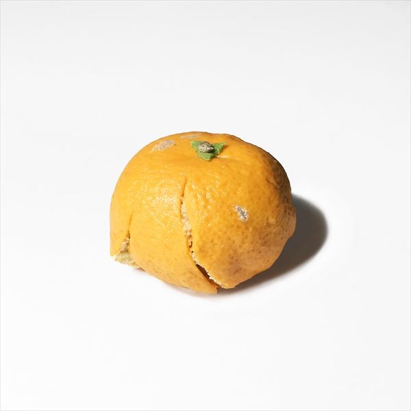 �R�^�c�̏�ɓ��X�Ƃ������ޒ��g�̂Ȃ��~�J��