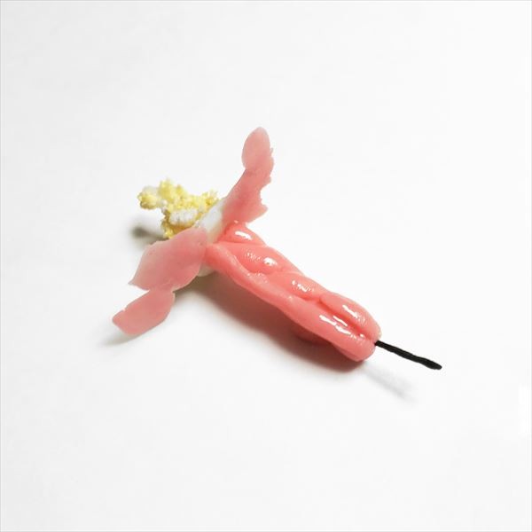 �����ɂ��������a������̂낤����