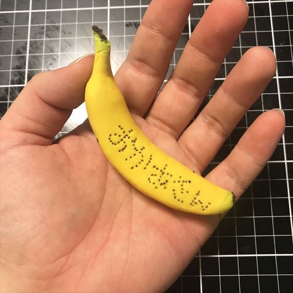 �S�����o�i�i