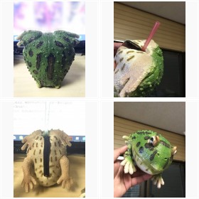 �g�^�s�I�J�u�[���h�փJ�E���^�[�H�@�J�G���̂��K���z���h�����N�z���_�[�ɔ���