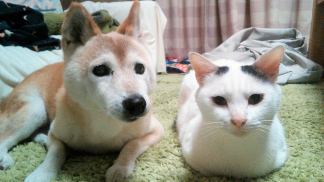 �܂����C�������u���́v�A��l�̒����V���b�g