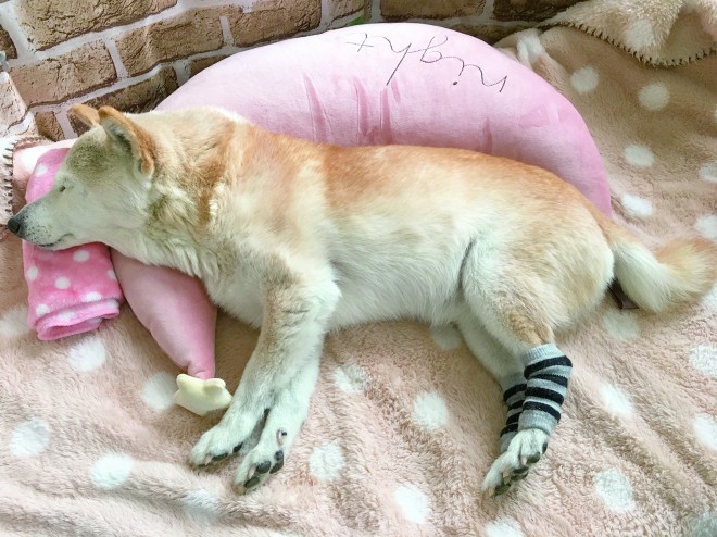 �F�m�ǂ𔭏ǂ����u���́v�A�N�b�V������w������ɖ���