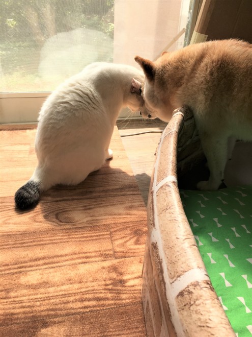 ���Y�������Łc��l�̈���������A������̂��C�ɓ���V���b�g