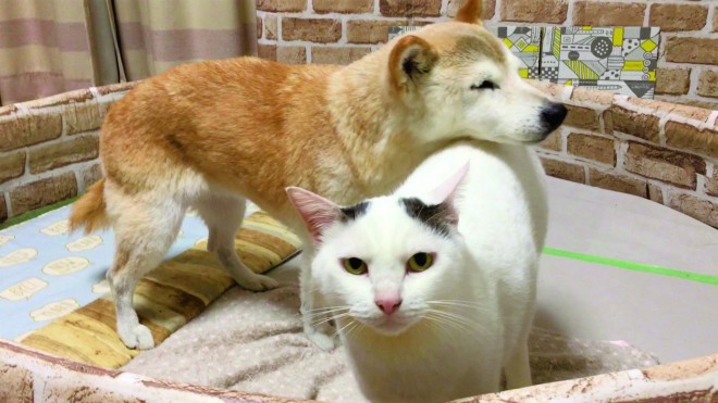 �u���́v��w���ŋx�܂��Ȃ���h����́u�����v