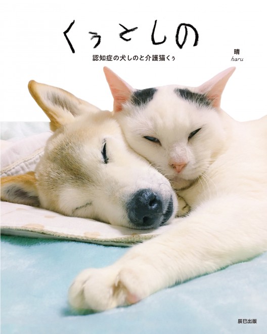 �t�H�g�u�b�N�\��