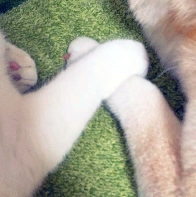 ����X�����ǂ�