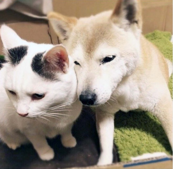 �΂߂ɂȂ�u���́v�����肰�Ȃ��T�|�[�g