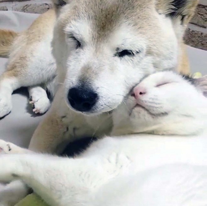 �u���́v�ɊÂ���u�����v