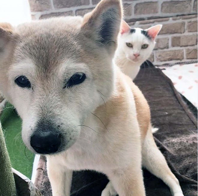 �u���́v�̌�납��Ђ������