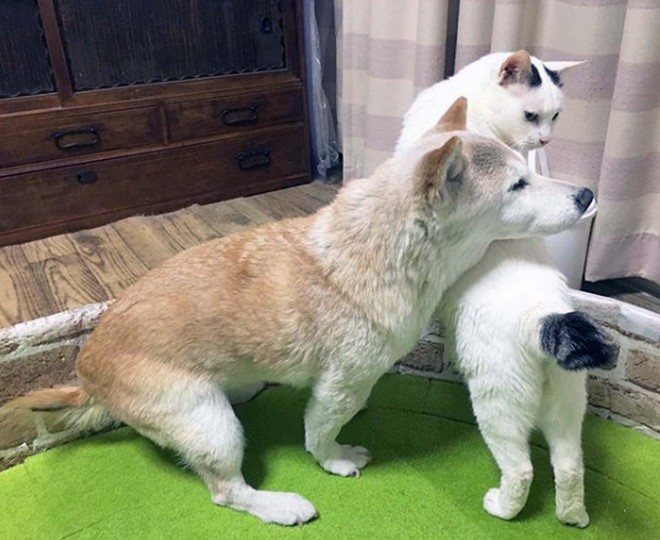 �w���Łu���́v���x���ăT�|�[�g