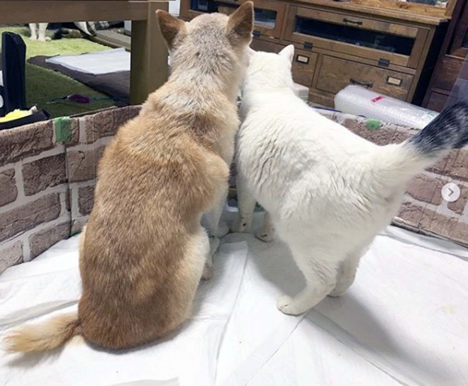 �������Y����l