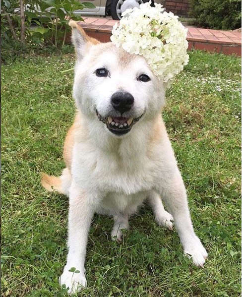 2018�N3���ɓV���ɗ��������u���́v