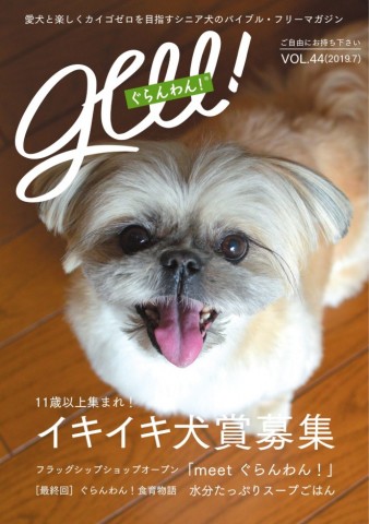 広がる 犬の介護 問題 専門誌語る シニア犬との愛ある生活 2ページ目 Oricon News