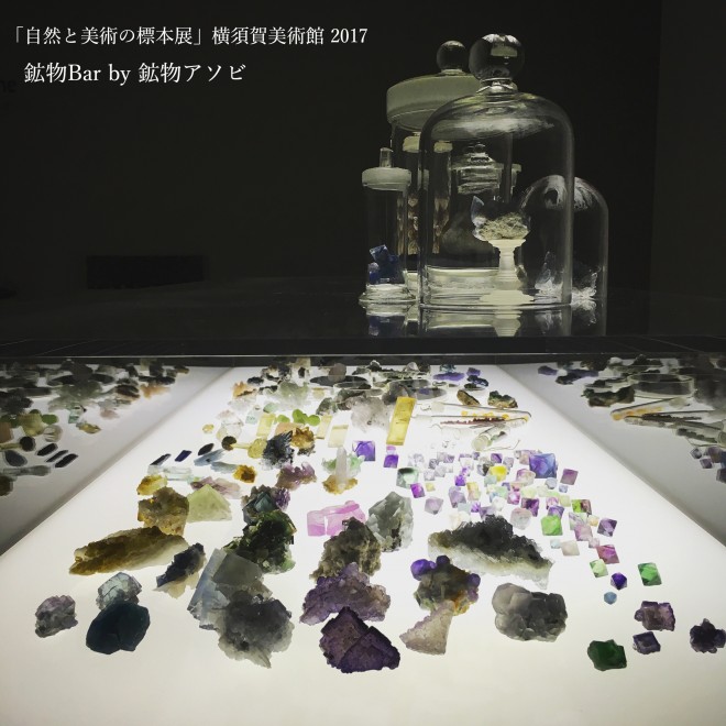 2017�N���{����p�فu���R�Ɣ��p�̕W�{�W�v�ɎQ��