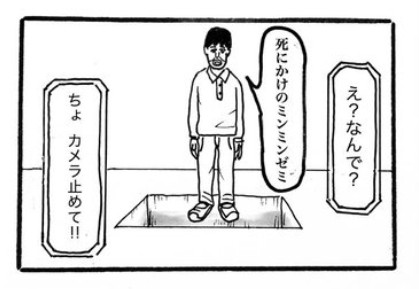 摜񋟁F}kPii}PmiManukeNamake1j