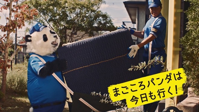 wTJCzZ^[xVCMu܂p_Aovт