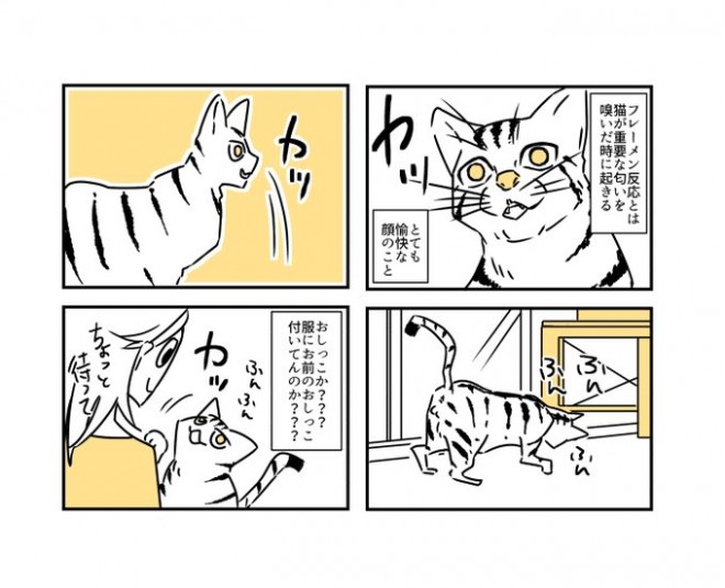 画像 写真 漫画 猫はずーっとかわいい 漫画作者伝えるメッセージ 成長したらかわいくない説に No 12枚目 Oricon News