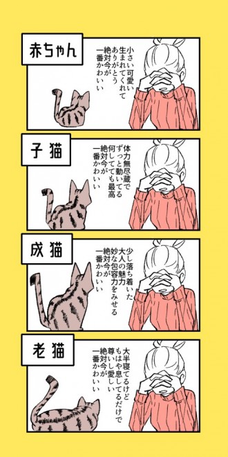 猫はずーっとかわいい 漫画作者伝えるメッセージ 成長したらかわいくない説に No 2ページ目 Oricon News