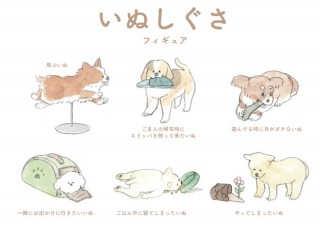 画像 写真 実はコーギーは食パンに似ている たべものに育てられた犬 イラスト集 10枚目 Oricon News