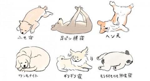 画像まとめ 実はコーギーは食パンに似ている たべものに育てられた犬 イラスト集 Oricon News