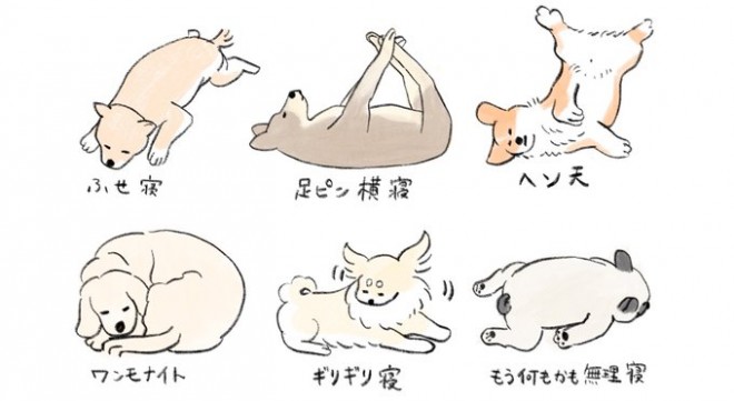 画像 写真 実はコーギーは食パンに似ている たべものに育てられた犬 イラスト集 9枚目 Oricon News