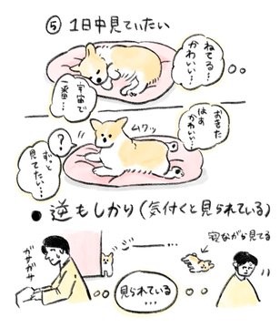 画像 写真 実はコーギーは食パンに似ている たべものに育てられた犬 イラスト集 7枚目 Oricon News