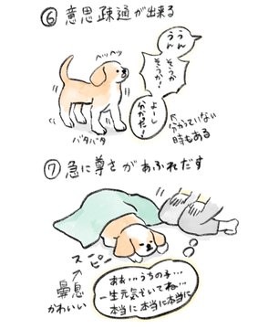 画像 写真 実はコーギーは食パンに似ている たべものに育てられた犬 イラスト集 8枚目 Oricon News