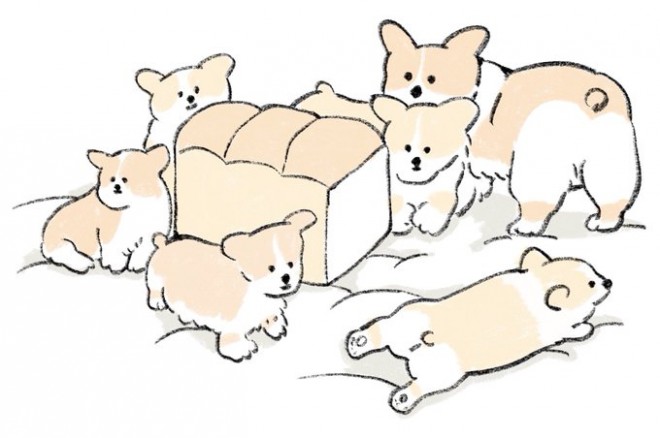画像 写真 実はコーギーは食パンに似ている たべものに育てられた犬 イラスト集 26枚目 Oricon News