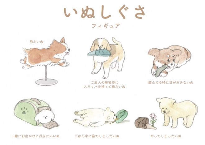 実はコーギーは食パンに似ている たべものに育てられた犬 作者に聞く 犬の魅力 Oricon News