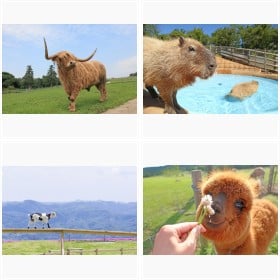 �}�U�[�q��@�t�H�g�M�������[