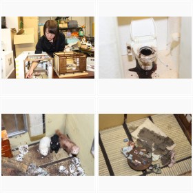 �ǓƎ��̌����͂����~�j�`���A�@�������H�����i�W