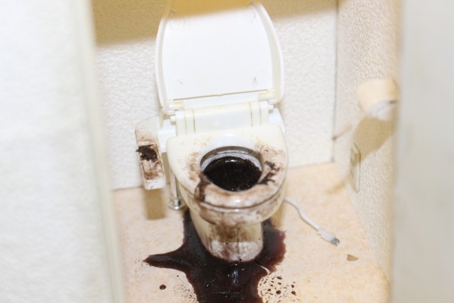 �������H�����i