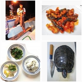 ��H�n���^�[�E���{�N����t�H�g�M�������[