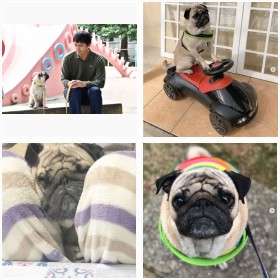 �w�܂������ł��Ȃ��j�x�Řb��̃p�O���E�c�����Y����A�L���[�g�����鎄�������V�[���ʐ^