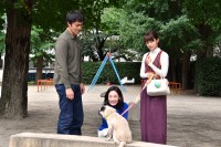 ドラマ『まだ結婚できない男』（関西テレビ・フジテレビ系）で、パグ犬・タツオ役を好演する田中太郎くん（中央）　（C）カンテレ