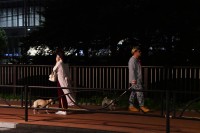 ドラマ『まだ結婚できない男』（関西テレビ・フジテレビ系）で、パグ犬・タツオ役を好演する田中太郎くん（左）　（C）カンテレ