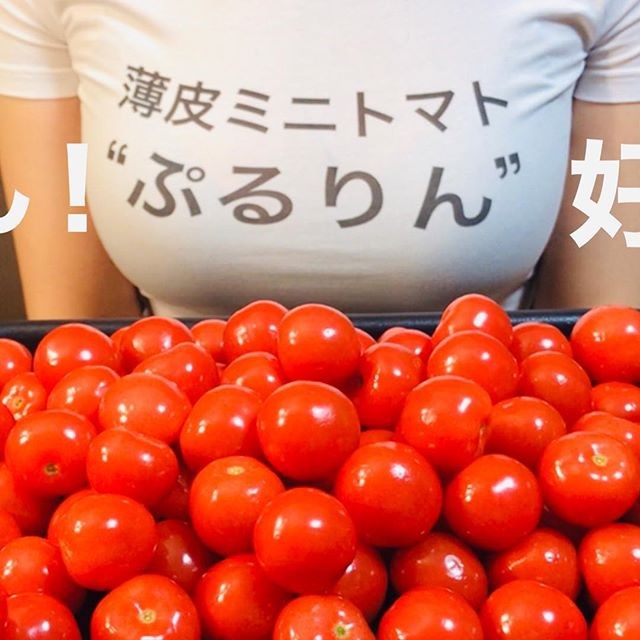 �������~�j�g�}�g�́u�Ղ���v����X�|���T�[�h