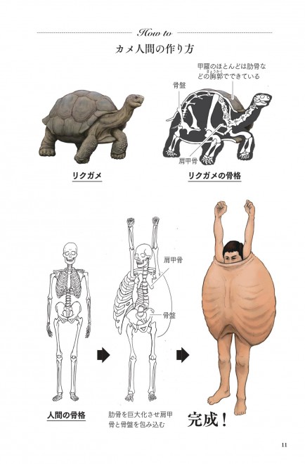 カメの甲羅はあばら骨 シュールすぎる動物図鑑の制作秘話子どもに人気も トラウマにならないこと祈る Oricon News