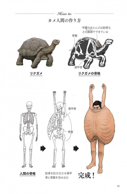 カメの甲羅はあばら骨 シュールすぎる動物図鑑の制作秘話 子どもに