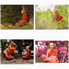 �~�j�J�[�ʐ^�ƁEE.P.���B�e�ɂ��^�C�̂��y�Y�E�m���t�B�M���A���~�j�J�[