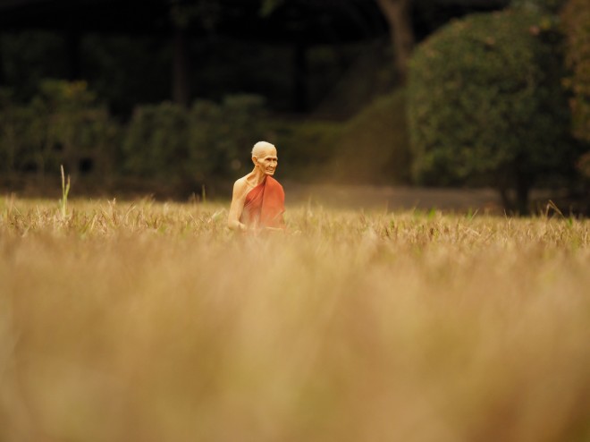 �^�C�̂��y�Y�E�m���̃t�B�M���A