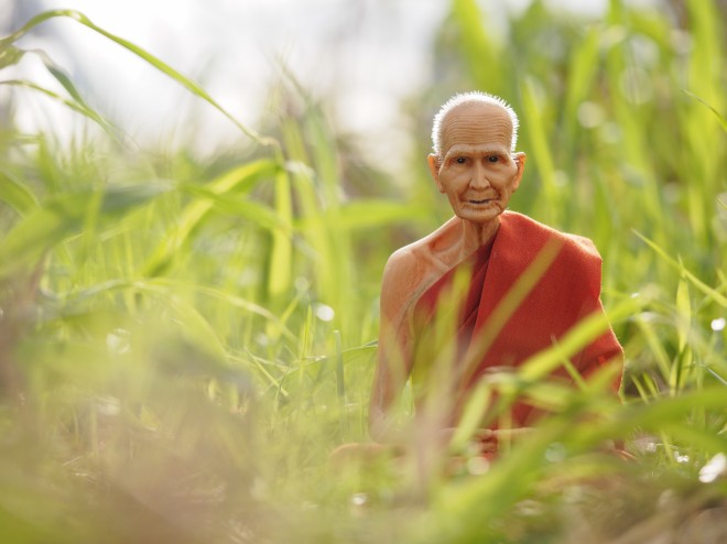 �^�C�̂��y�Y�E�m���̃t�B�M���A