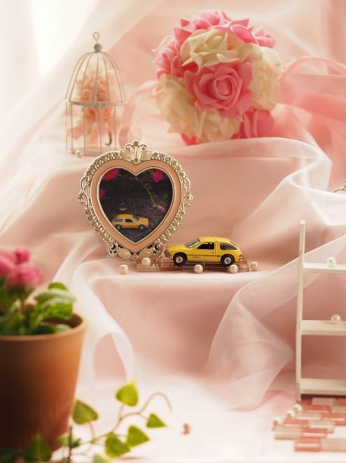 �~�j�J�[������ȃV�`���G�[�V�����ŎB�e