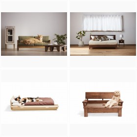 �w�l�R�Ƌ�x�t�H�g�M�������[