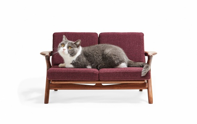 �i�J���}�؍H�wBanard 2P�\�t�@�x