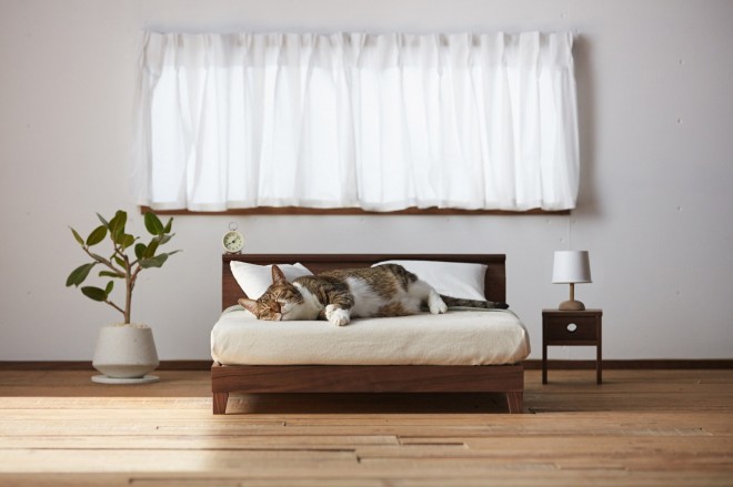 ����؍ލH�|�wRaffine Bed for cat�x