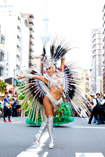 terry����i�ʐ^�^�������o���o���X�@�R�{�P��j