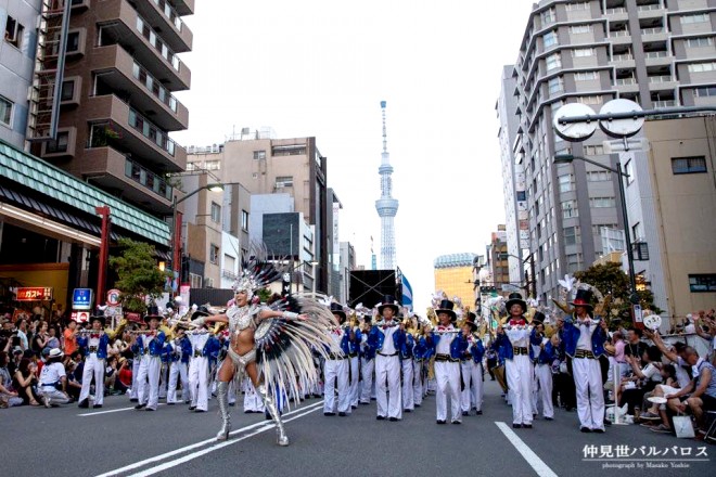 terry����i�ʐ^�^�������o���o���X�j